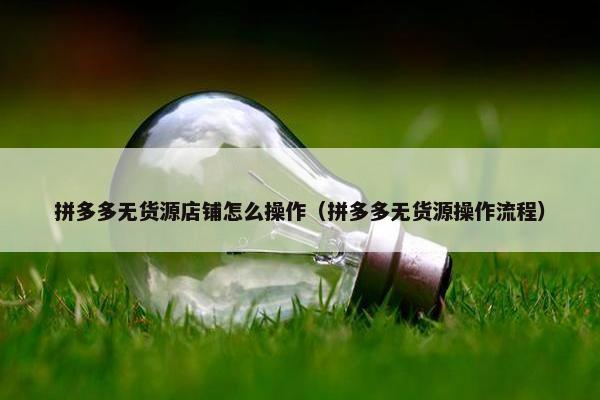 拼多多无货源店铺怎么操作（拼多多无货源操作流程）