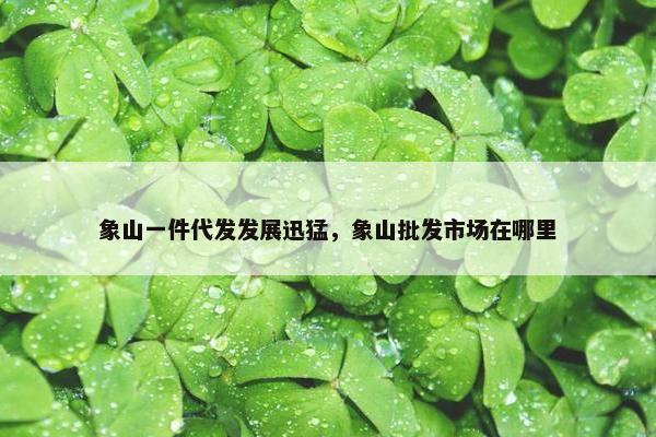 象山一件代发发展迅猛，象山批发市场在哪里