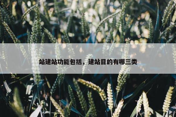 站建站功能包括，建站目的有哪三类