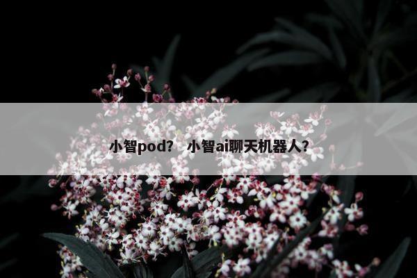 小智pod？ 小智ai聊天机器人？