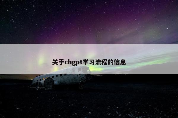 关于chgpt学习流程的信息