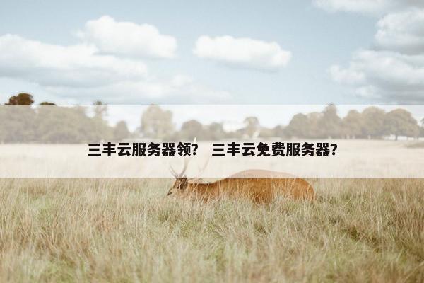 三丰云服务器领？ 三丰云免费服务器？