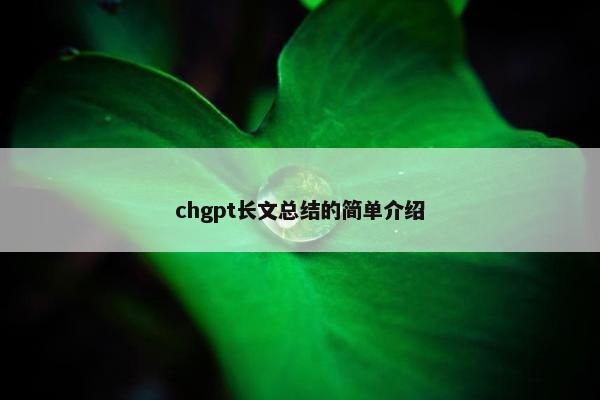 chgpt长文总结的简单介绍