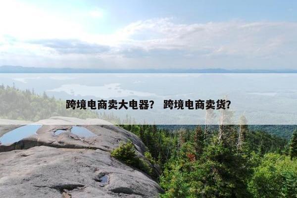 跨境电商卖大电器？ 跨境电商卖货？