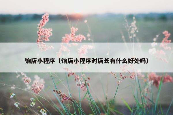 饷店小程序（饷店小程序对店长有什么好处吗）