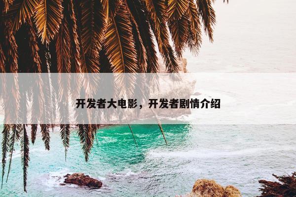开发者大电影，开发者剧情介绍