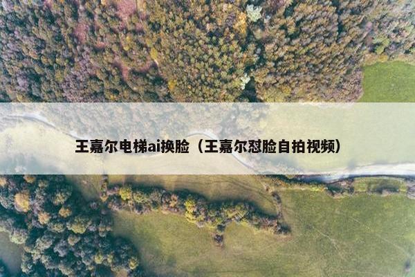 王嘉尔电梯ai换脸（王嘉尔怼脸自拍视频）
