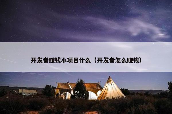 开发者赚钱小项目什么（开发者怎么赚钱）