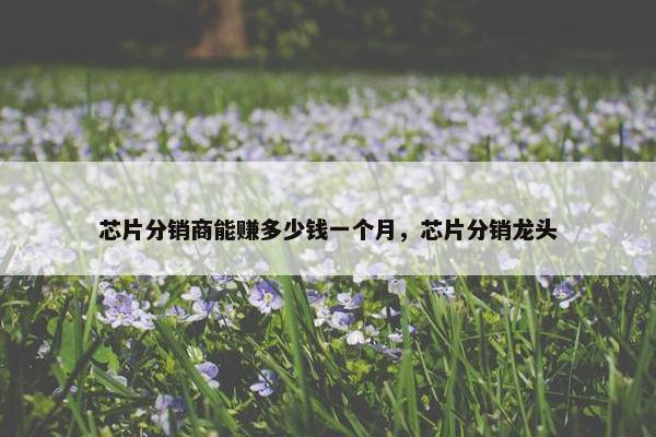 芯片分销商能赚多少钱一个月，芯片分销龙头