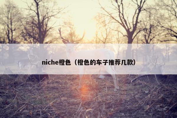 niche橙色（橙色的车子推荐几款）
