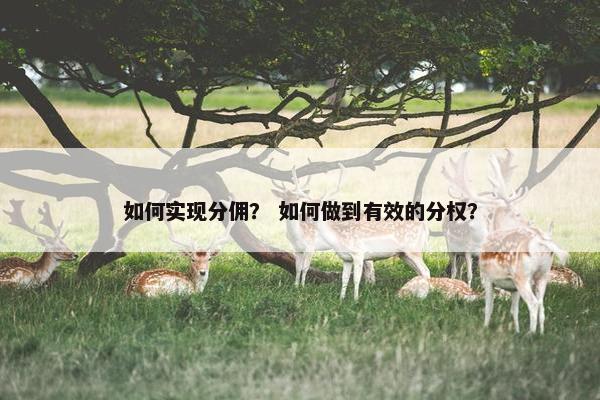 如何实现分佣？ 如何做到有效的分权？