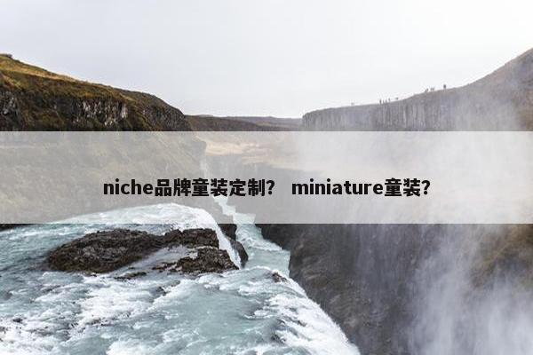 niche品牌童装定制？ miniature童装？