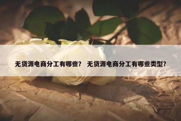 无货源电商分工有哪些？ 无货源电商分工有哪些类型？