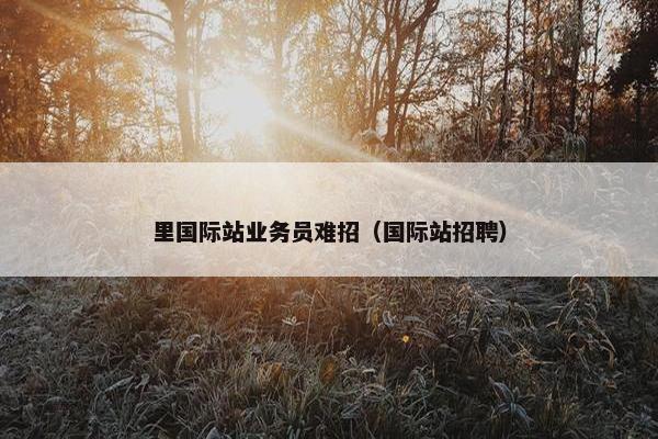 里国际站业务员难招（国际站招聘）