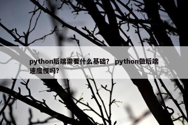 python后端需要什么基础？ python做后端速度慢吗？