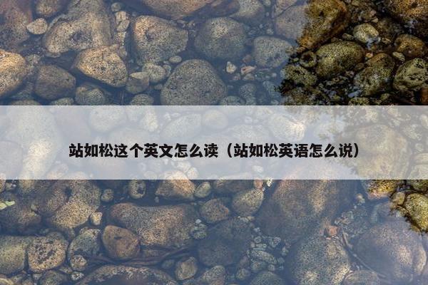 站如松这个英文怎么读（站如松英语怎么说）
