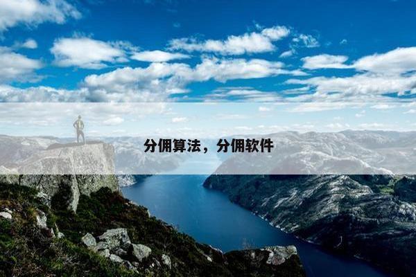 分佣算法，分佣软件