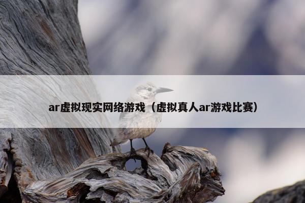 ar虚拟现实网络游戏（虚拟真人ar游戏比赛）