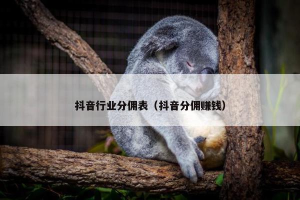 抖音行业分佣表（抖音分佣赚钱）