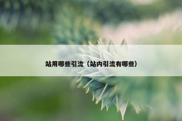 站用哪些引流（站内引流有哪些）