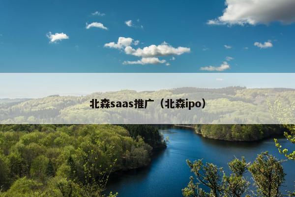 北森saas推广（北森ipo）