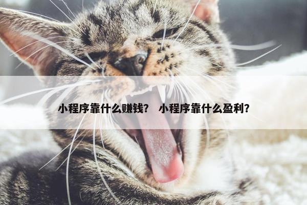小程序靠什么赚钱？ 小程序靠什么盈利？