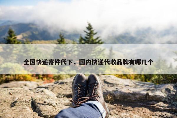 全国快递寄件代下，国内快递代收品牌有哪几个
