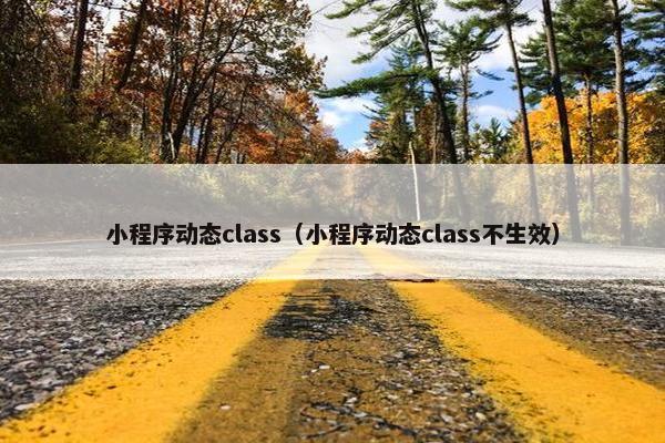 小程序动态class（小程序动态class不生效）