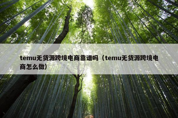 temu无货源跨境电商靠谱吗（temu无货源跨境电商怎么做）