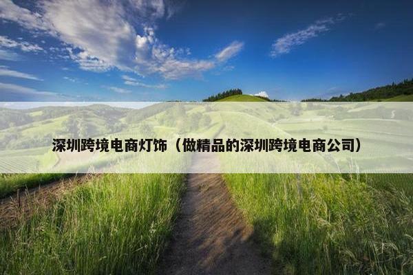 深圳跨境电商灯饰（做精品的深圳跨境电商公司）