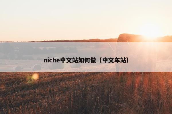 niche中文站如何做（中文车站）