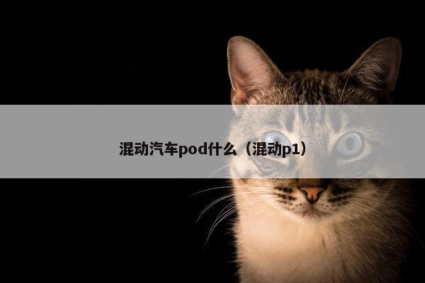 混动汽车pod什么（混动p1）