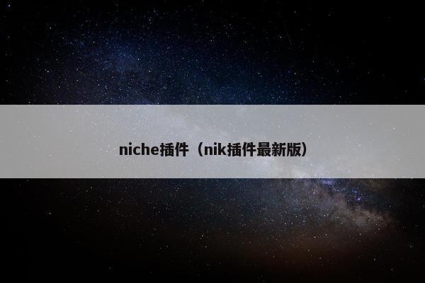 niche插件（nik插件最新版）