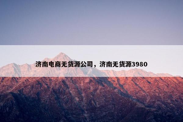 济南电商无货源公司，济南无货源3980