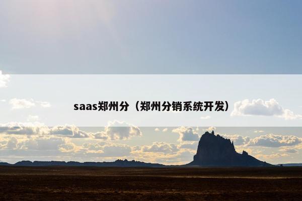 saas郑州分（郑州分销系统开发）