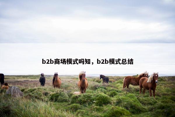 b2b商场模式吗知，b2b模式总结