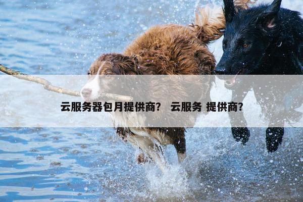 云服务器包月提供商？ 云服务 提供商？