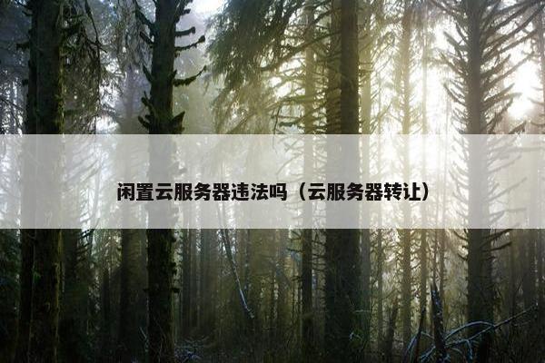 闲置云服务器违法吗（云服务器转让）