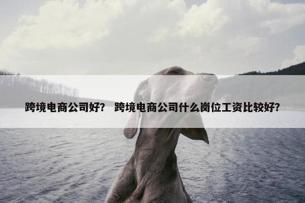 跨境电商公司好？ 跨境电商公司什么岗位工资比较好？