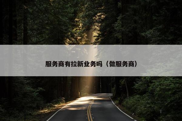 服务商有拉新业务吗（做服务商）