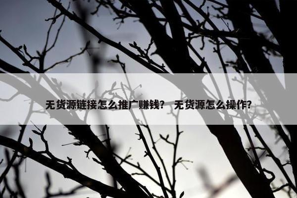 无货源链接怎么推广赚钱？ 无货源怎么操作？