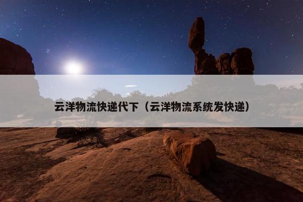 云洋物流快递代下（云洋物流系统发快递）