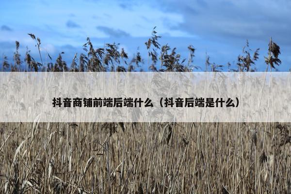 抖音商铺前端后端什么（抖音后端是什么）