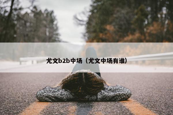 尤文b2b中场（尤文中场有谁）