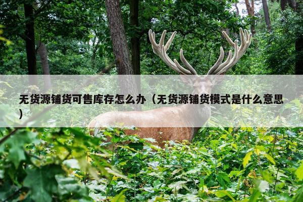 无货源铺货可售库存怎么办（无货源铺货模式是什么意思）