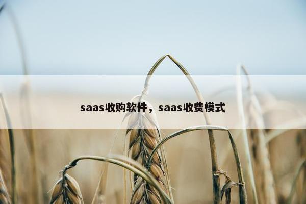 saas收购软件，saas收费模式