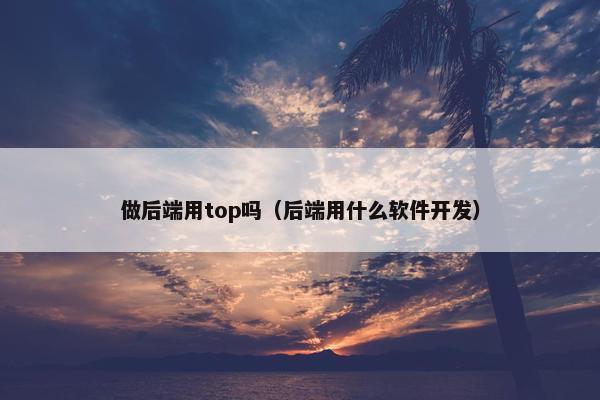 做后端用top吗（后端用什么软件开发）