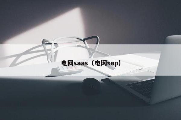 电网saas（电网sap）