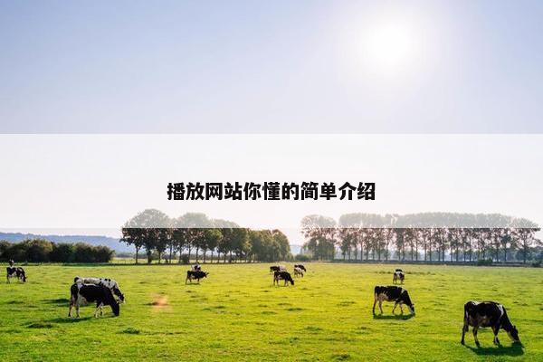 播放网站你懂的简单介绍
