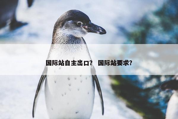 国际站自主出口？ 国际站要求？